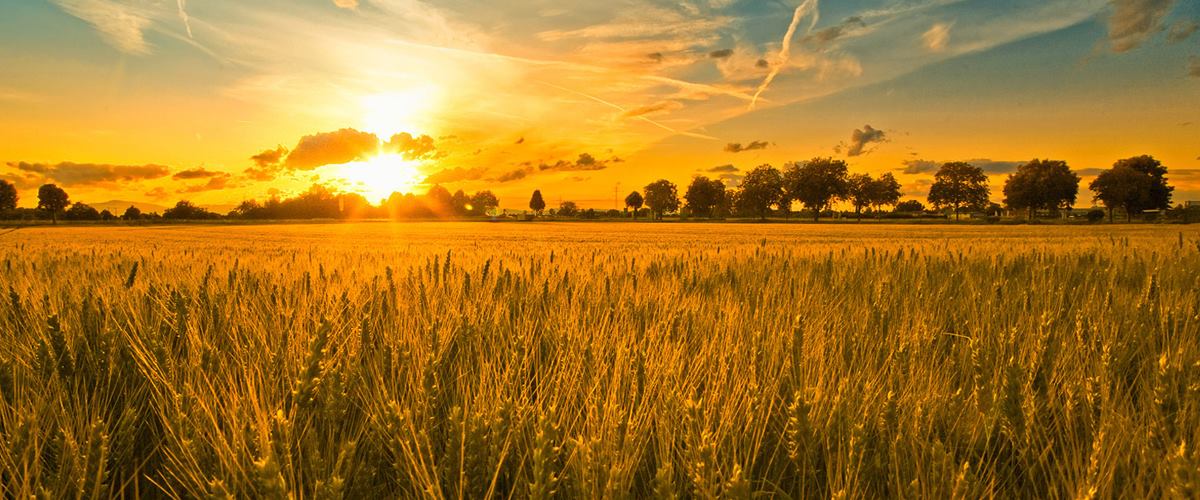 Faça sua busca e acha
<span>o que você procura</span>.