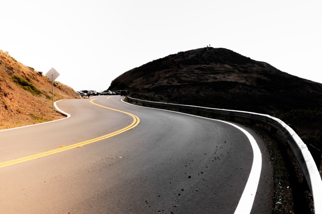 Os melhores brinquedos e acessórios para cães